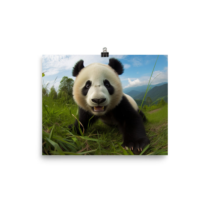 Panda Playtime photo paper poster - Posterfy.AI