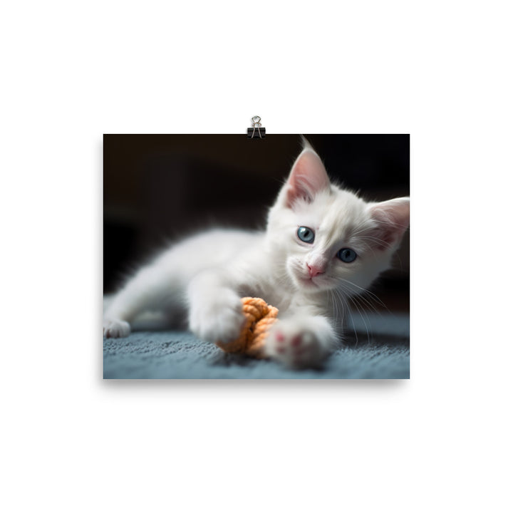 Adorable Turkish Angora kitten playing with a toy photo paper poster - Posterfy.AI