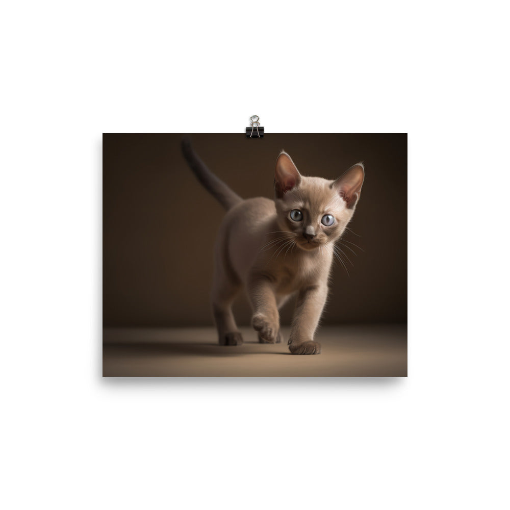 The Playful Burmese Kitten photo paper poster - Posterfy.AI