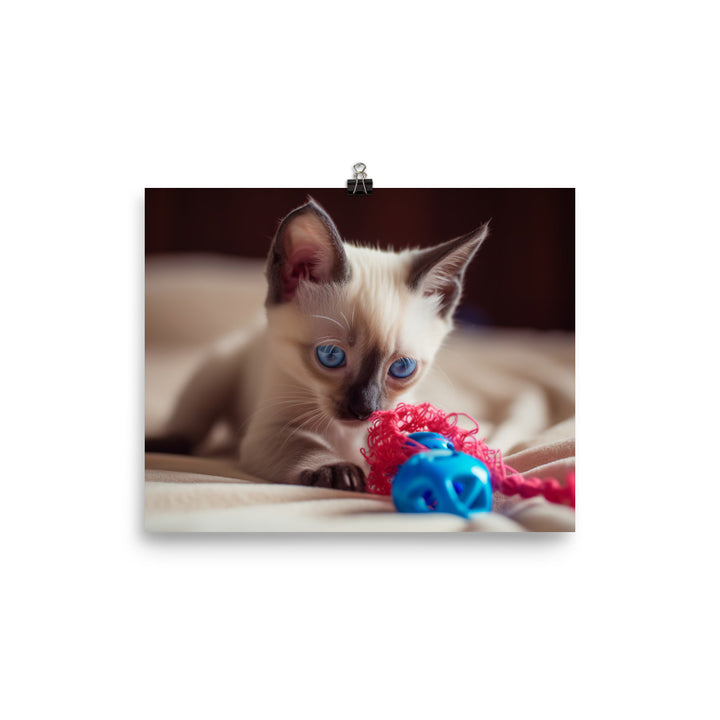 Adorable Balinese Kitten Playing with Toy photo paper poster - Posterfy.AI