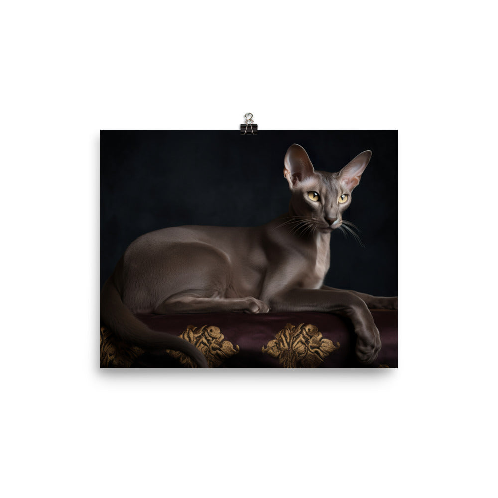 Majestic Oriental Shorthair on Velvet photo paper poster - Posterfy.AI