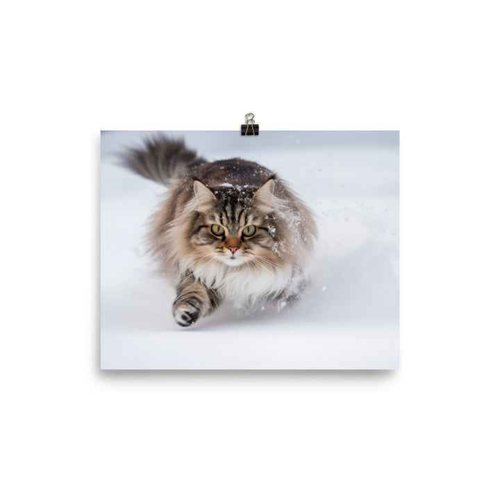 Norwegian Forest Cat Playing in the Snow photo paper poster - Posterfy.AI