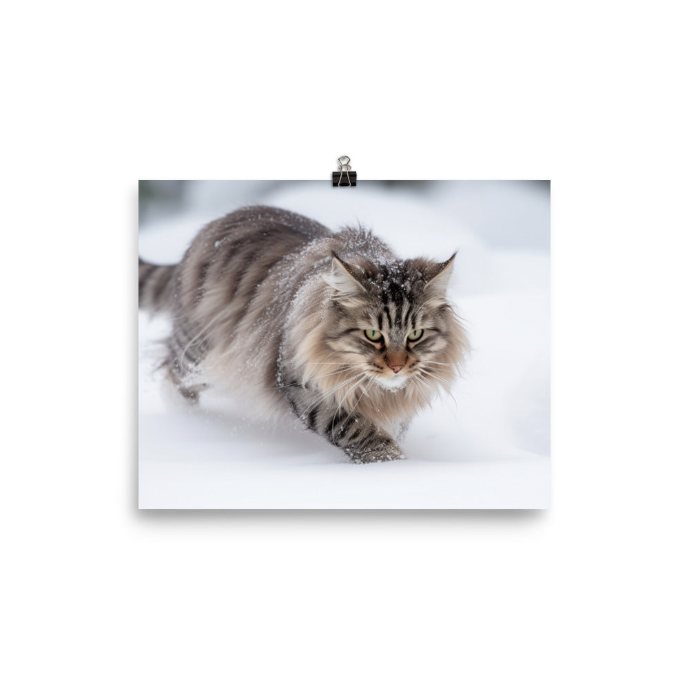 Norwegian Forest Cat Playing in the Snow photo paper poster - Posterfy.AI