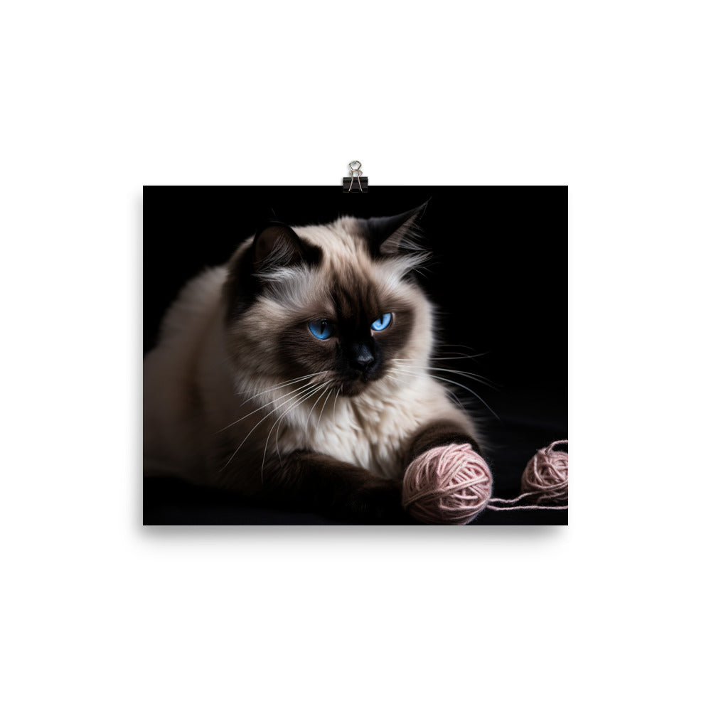 Himalayan cat playing with a ball of yarn photo paper poster - Posterfy.AI