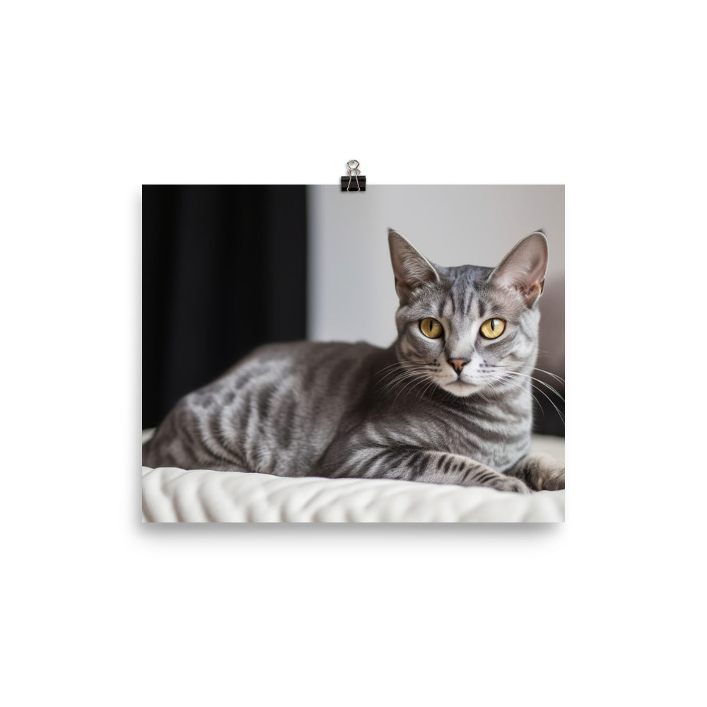 Egyptian Mau lounging photo paper poster - Posterfy.AI