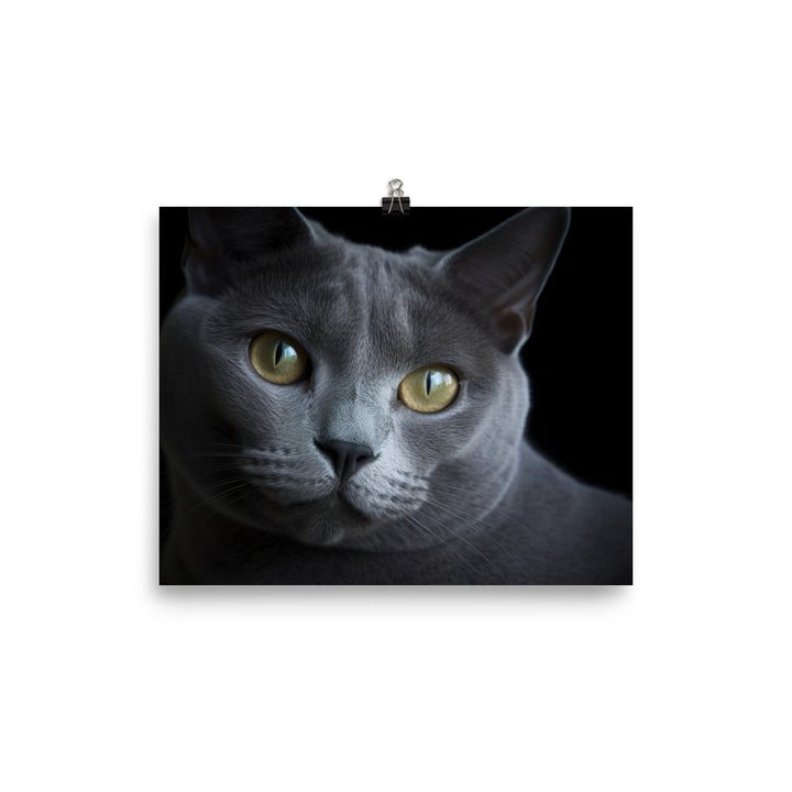 Russian Blue Royalty photo paper poster - Posterfy.AI