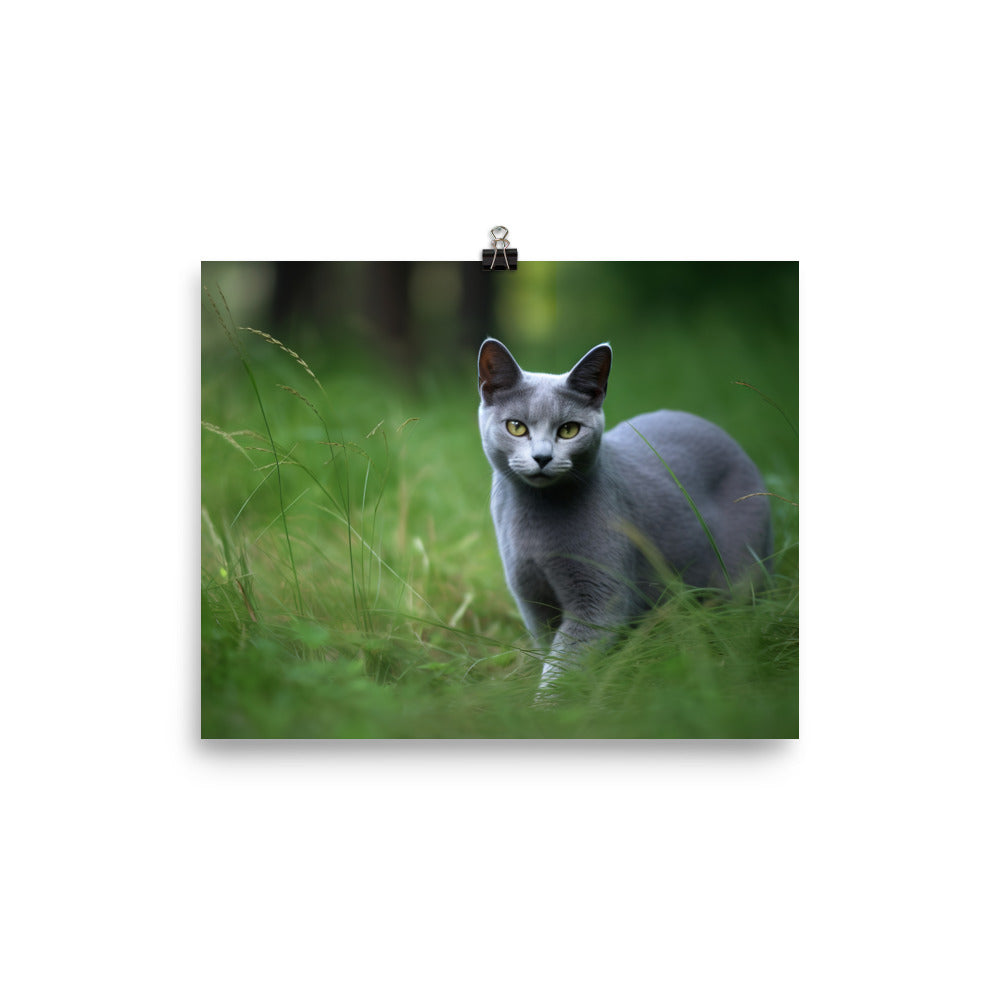 Russian Blue in Natures Playground photo paper poster - Posterfy.AI