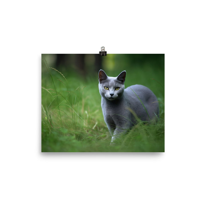 Russian Blue in Natures Playground photo paper poster - Posterfy.AI