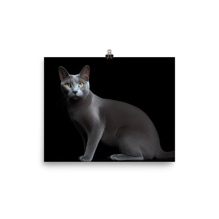 Russian Blue Elegance photo paper poster - Posterfy.AI