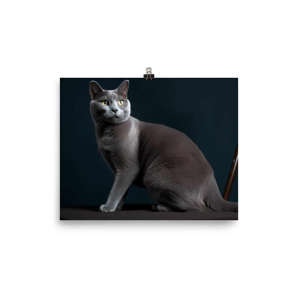 Russian Blue Elegance photo paper poster - Posterfy.AI