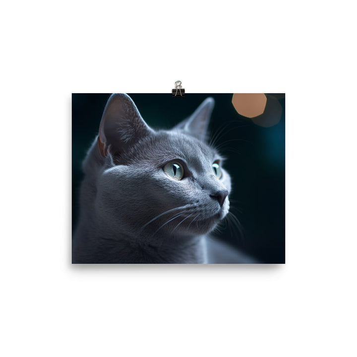 Dreamy Nights with Russian Blue photo paper poster - Posterfy.AI