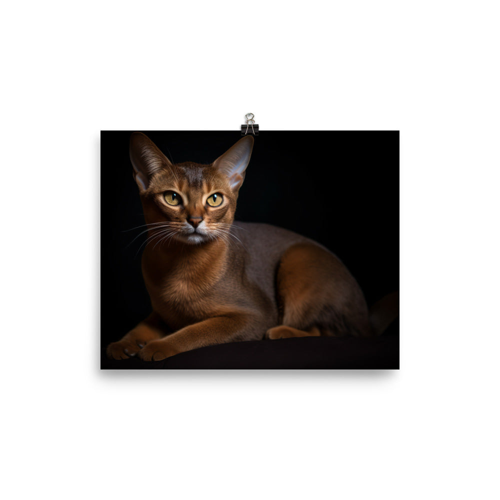 Adorable Abyssinian posing for the camera photo paper poster - Posterfy.AI