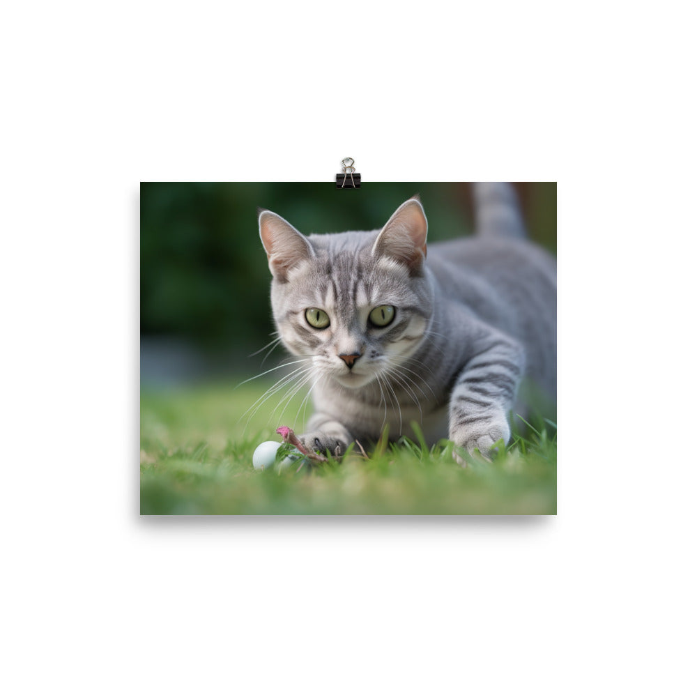 Adorable American Shorthair playing with toy mouse photo paper poster - Posterfy.AI