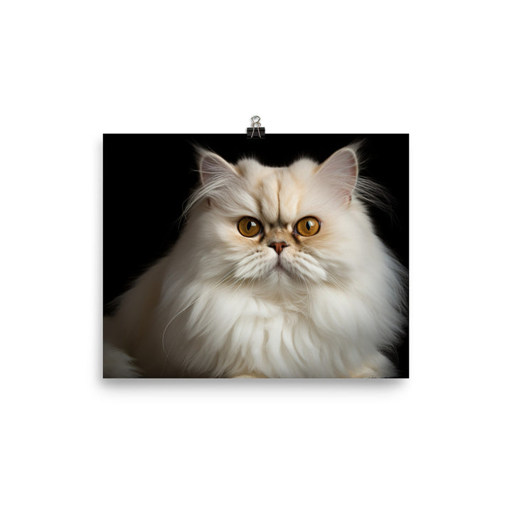 Regal Persian Cat photo paper poster - Posterfy.AI