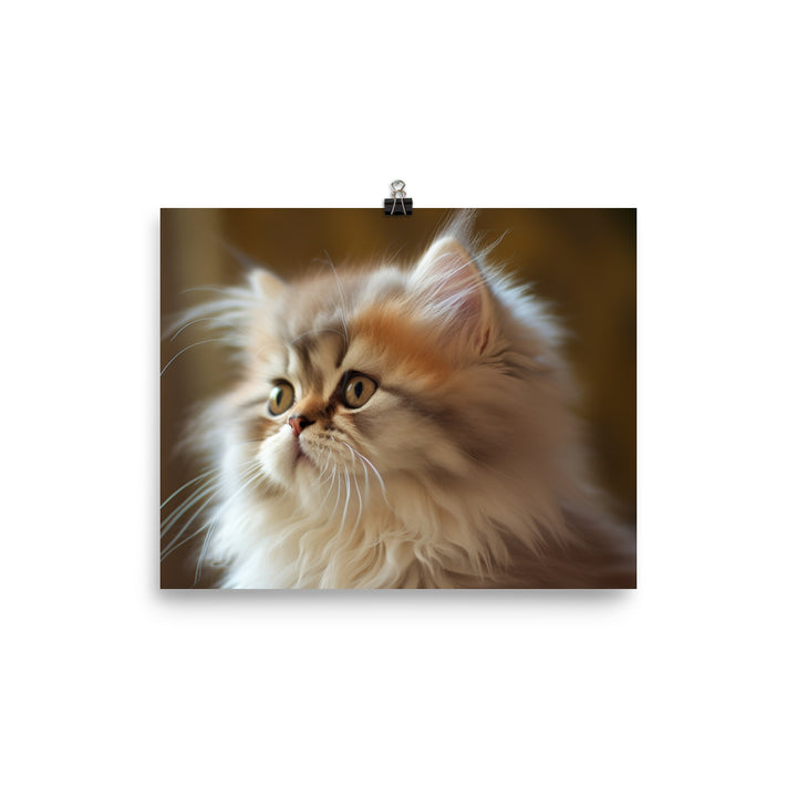 Fluffy Persian Kitten photo paper poster - Posterfy.AI