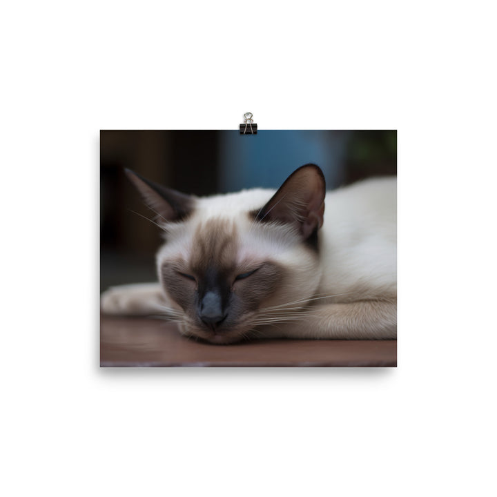 Sleepy Siamese Taking a Nap photo paper poster - Posterfy.AI