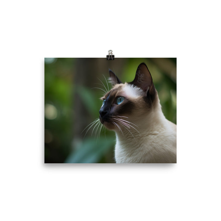 Majestic Siamese Staring into the Distance photo paper poster - Posterfy.AI