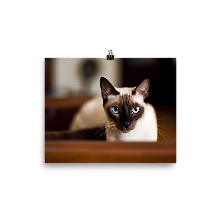 Curious Siamese Examining the Room photo paper poster - Posterfy.AI