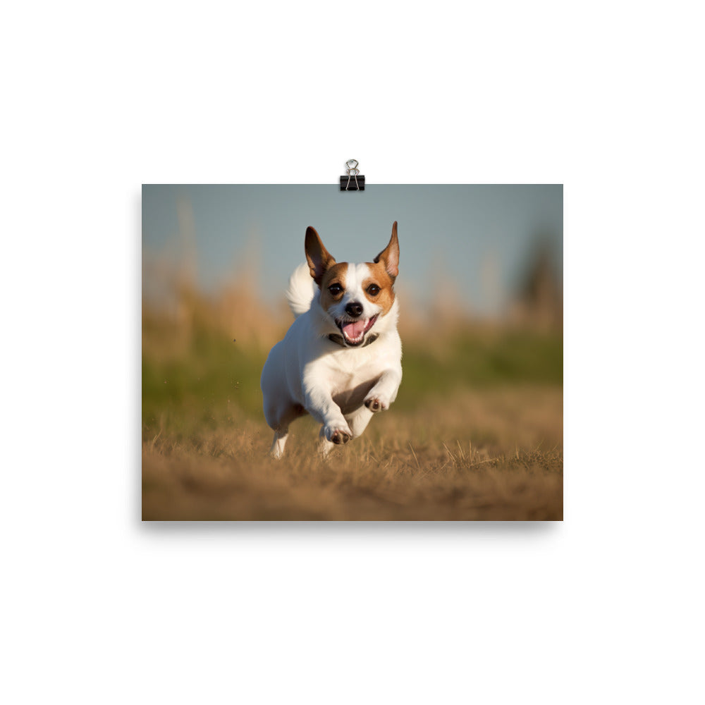 Jack Russell Terriers Comical Expression photo paper poster - Posterfy.AI