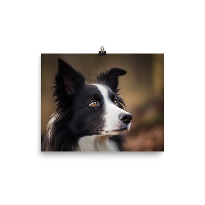 Majestic Border Collie Portrait photo paper poster - Posterfy.AI