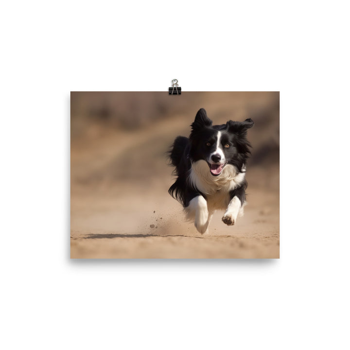 Energetic Border Collie in Action photo paper poster - Posterfy.AI