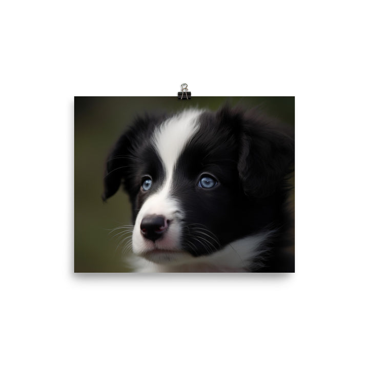 Adorable Border Collie Puppy photo paper poster - Posterfy.AI