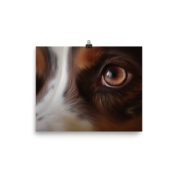 Inquisitive and intelligent: Australian Shepherd photo paper poster - Posterfy.AI