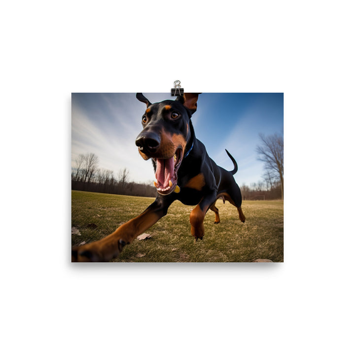 Doberman Pinschers love of running photo paper poster - Posterfy.AI