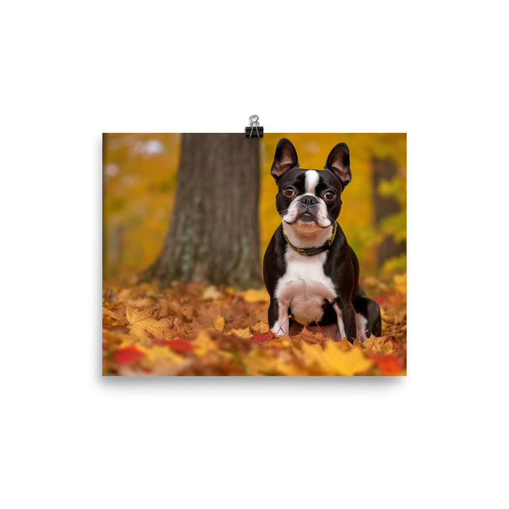 Boston Terrier with Fall Colors photo paper poster - Posterfy.AI