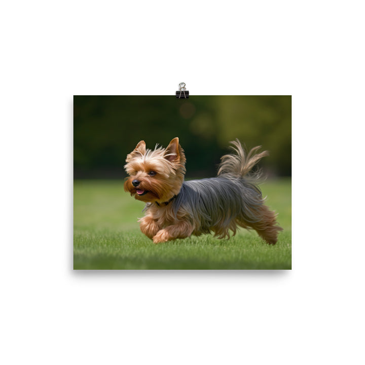 Yorkshire Terrier on the Go photo paper poster - Posterfy.AI