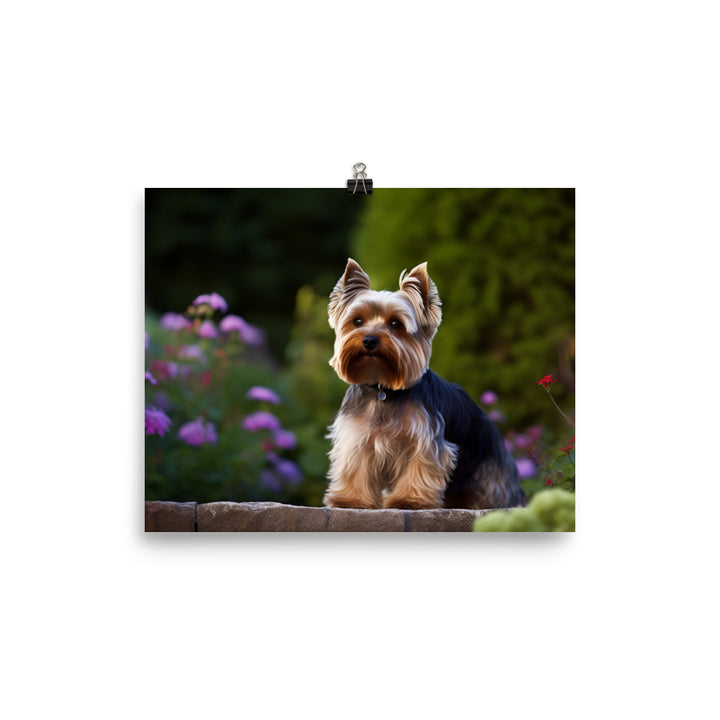 Yorkshire Terrier in the Garden photo paper poster - Posterfy.AI