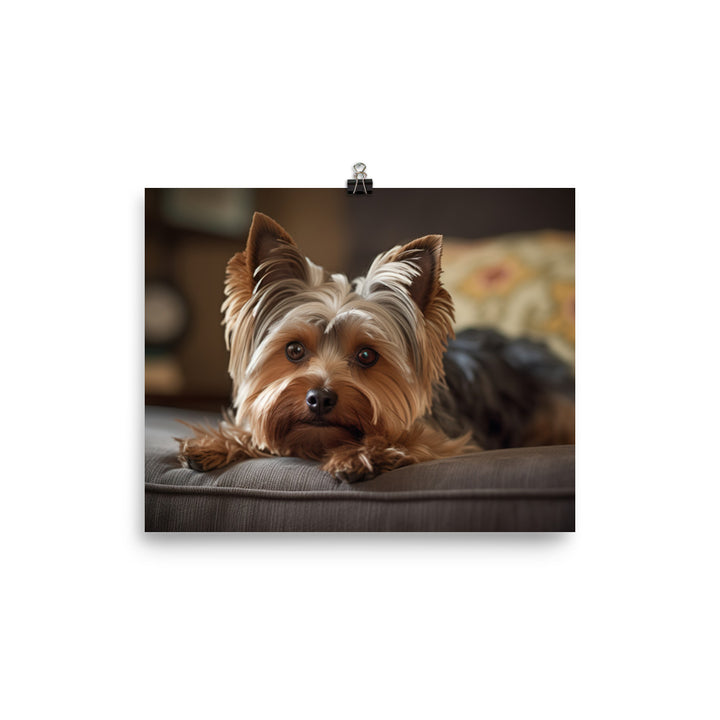 Yorkie at Home photo paper poster - Posterfy.AI