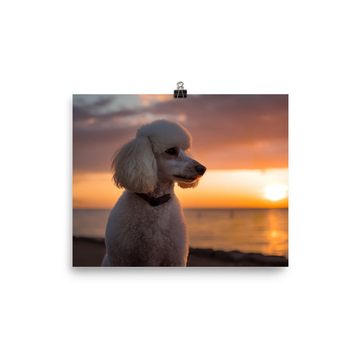 Poodle by the Seaside photo paper poster - Posterfy.AI