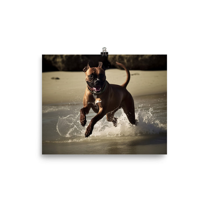 Boxer at the Beach photo paper poster - Posterfy.AI