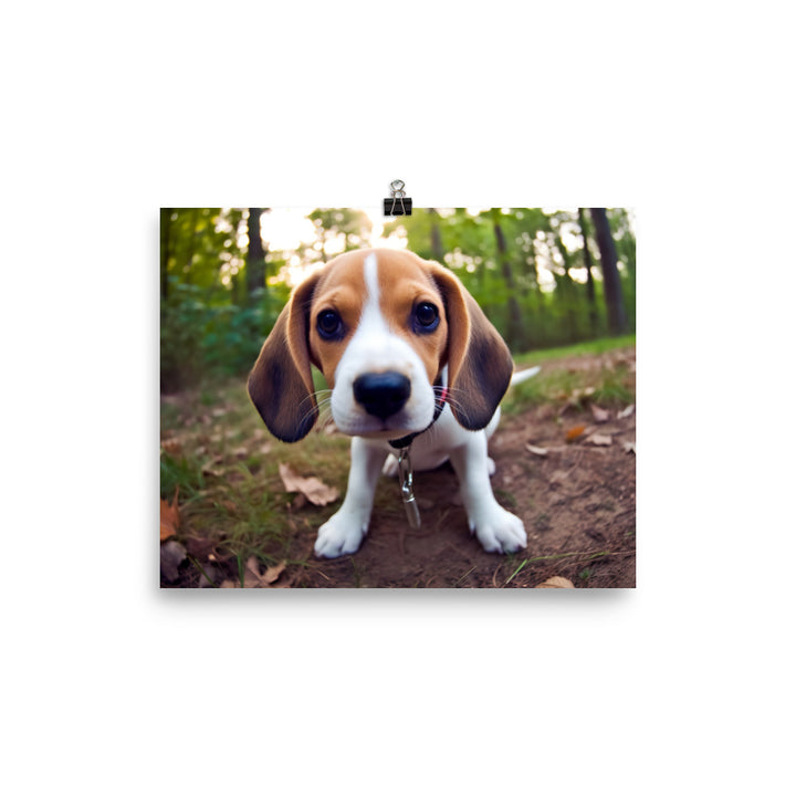 The curious eyes of a Beagle pup photo paper poster - Posterfy.AI