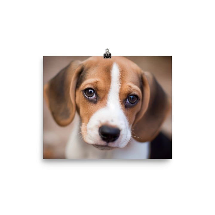 Adorable Beagle posing for the camera photo paper poster - Posterfy.AI