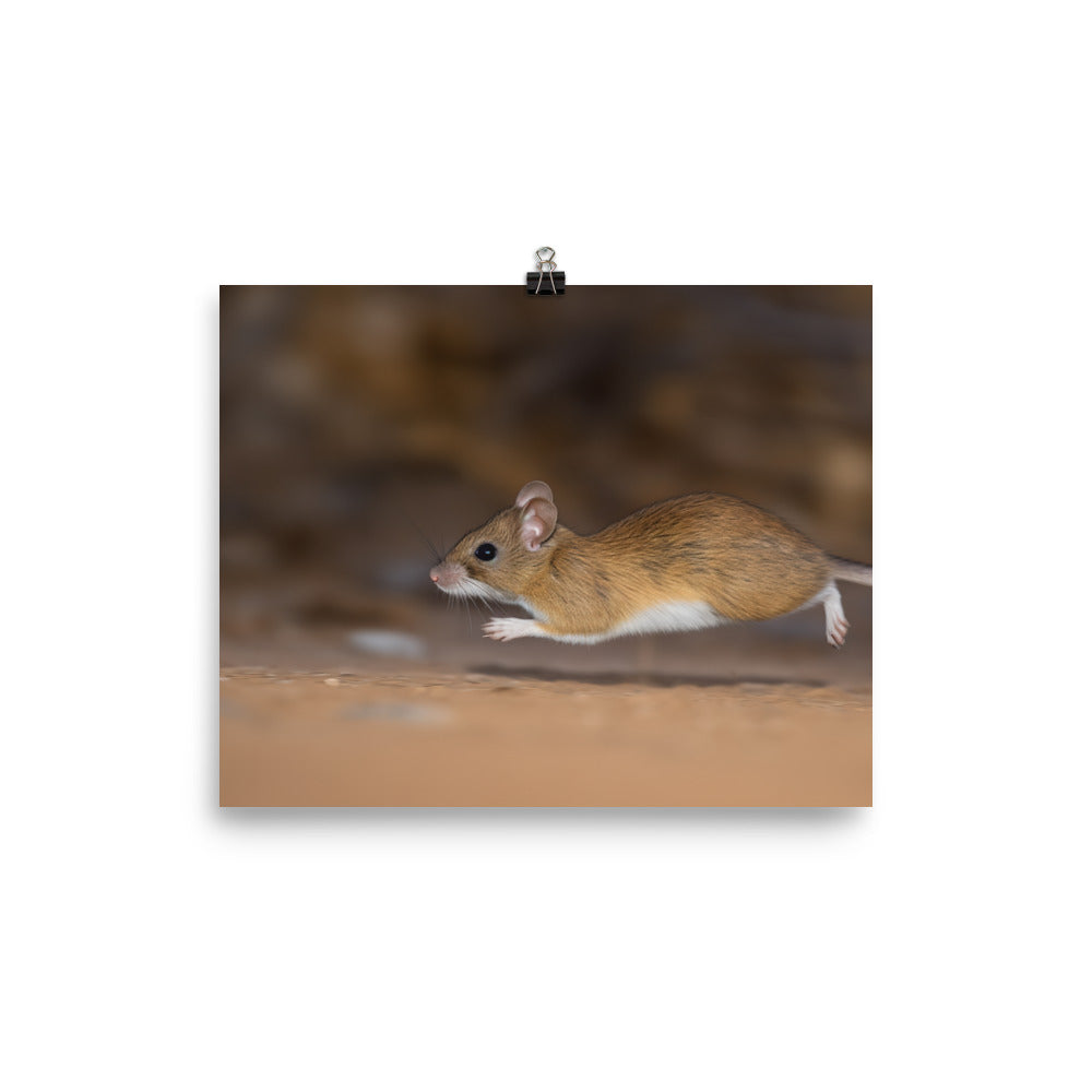 Action Shot of a Deer Mouse on the Move photo paper poster - Posterfy.AI