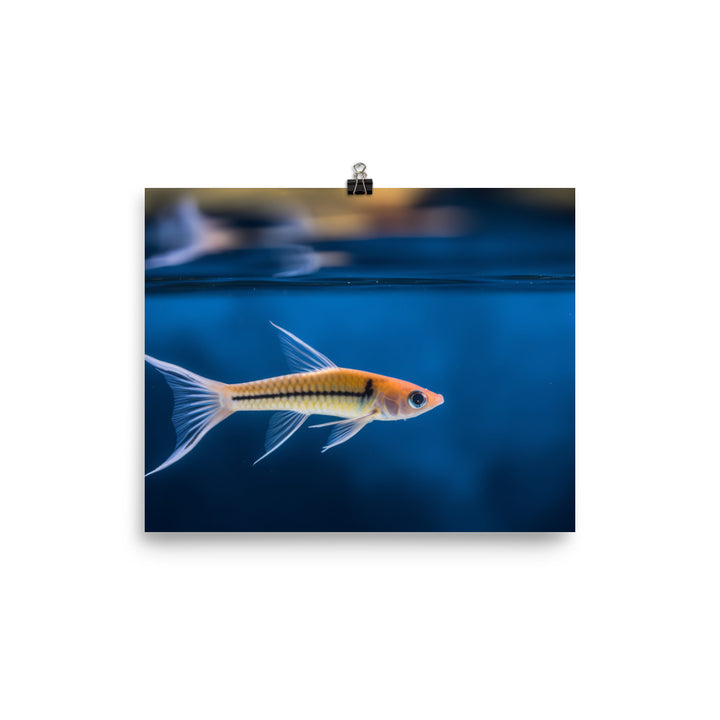 Elegant Swordtail Fish Floating in Serene Waters Photo paper poster - Posterfy.AI