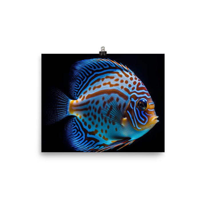 Captivating Discus Fish with a Striking Blue Hue Photo paper poster - Posterfy.AI