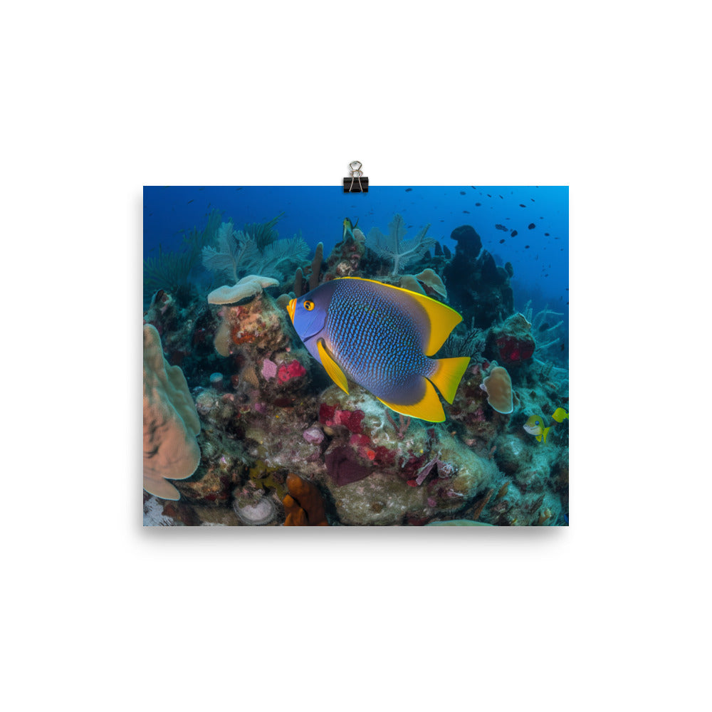 Elegant Angelfish in a Colorful Reef Photo paper poster - Posterfy.AI