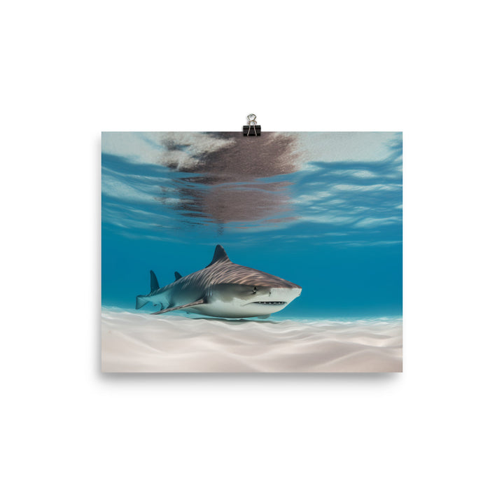 Tiger Shark swimming in crystal clear waters Photo paper poster - Posterfy.AI