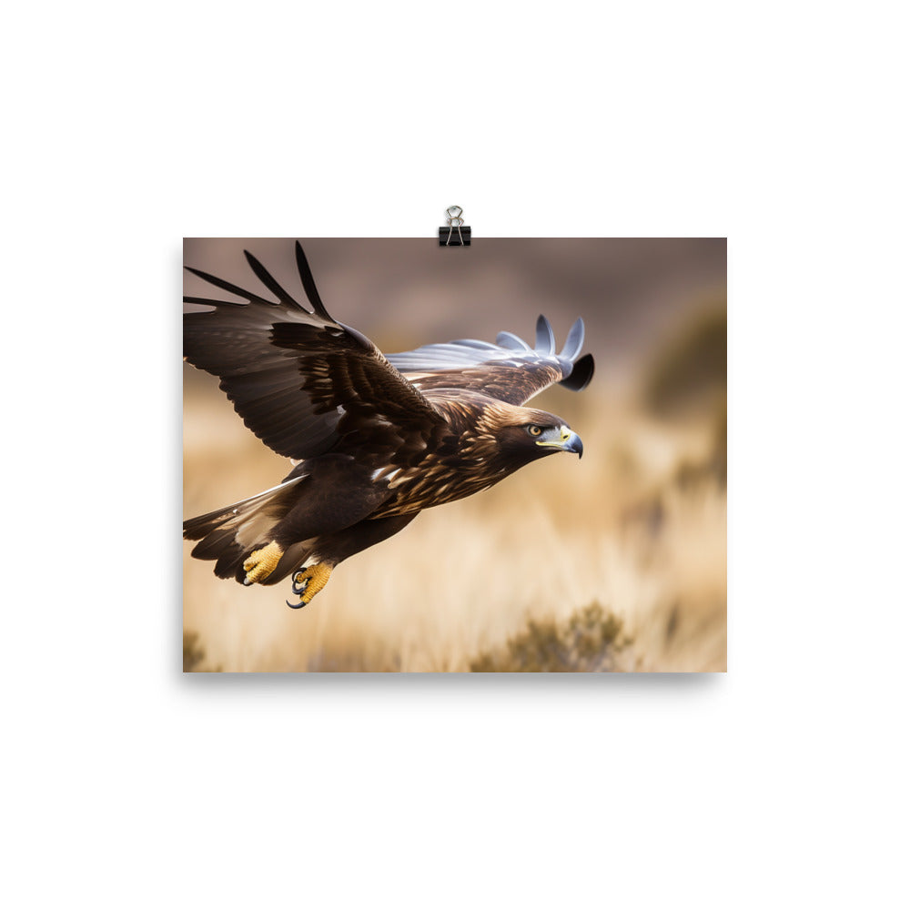 A Golden Eagle in mid flight Photo paper poster - Posterfy.AI