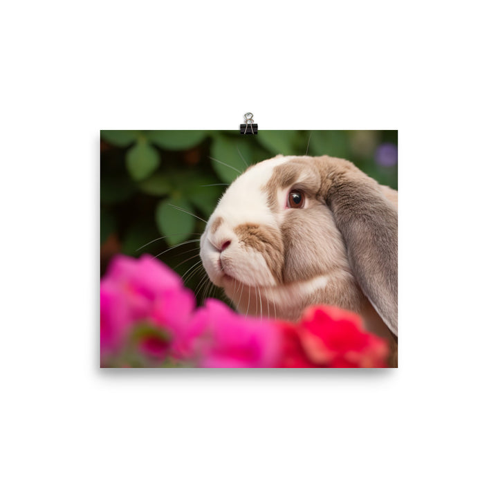 Majestic French Lop photo paper poster - Posterfy.AI